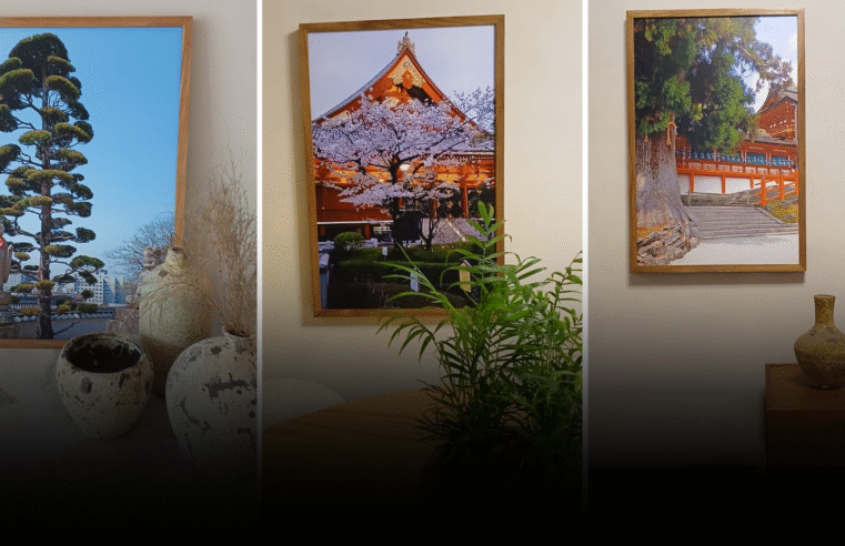 Exposição fotográfica “Uma viagem aos jardins do Japão” mostra o olhar do paisagista Alex Sá Gomes