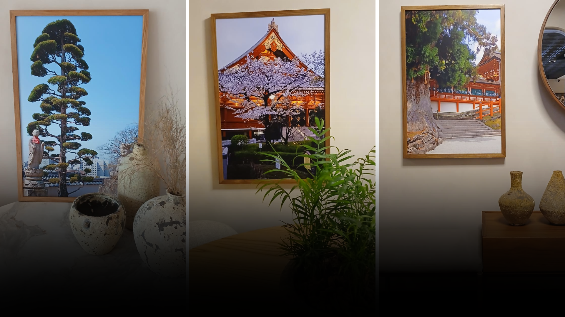 Exposição fotográfica “Uma viagem aos jardins do Japão” mostra o olhar do paisagista Alex Sá Gomes