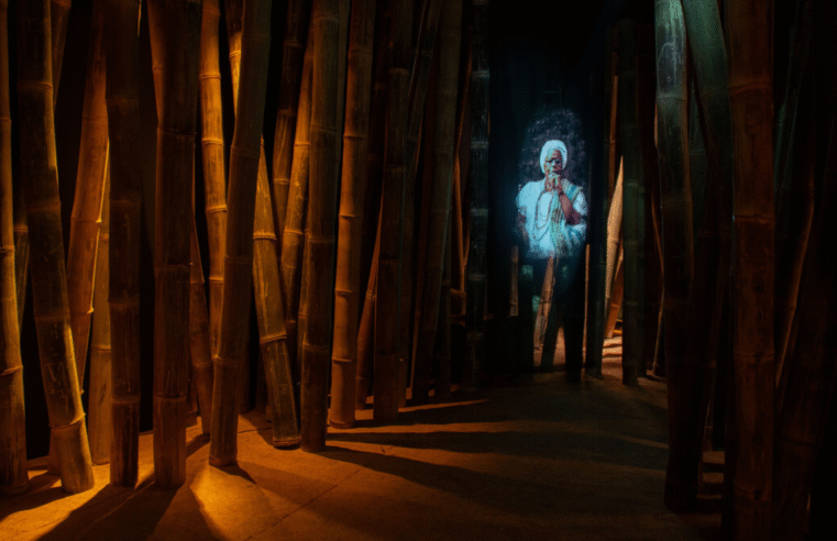 Casa das Histórias de Salvador inaugura “Floresta de Infinitos”, nova exposição que une arte, natureza e ancestralidade