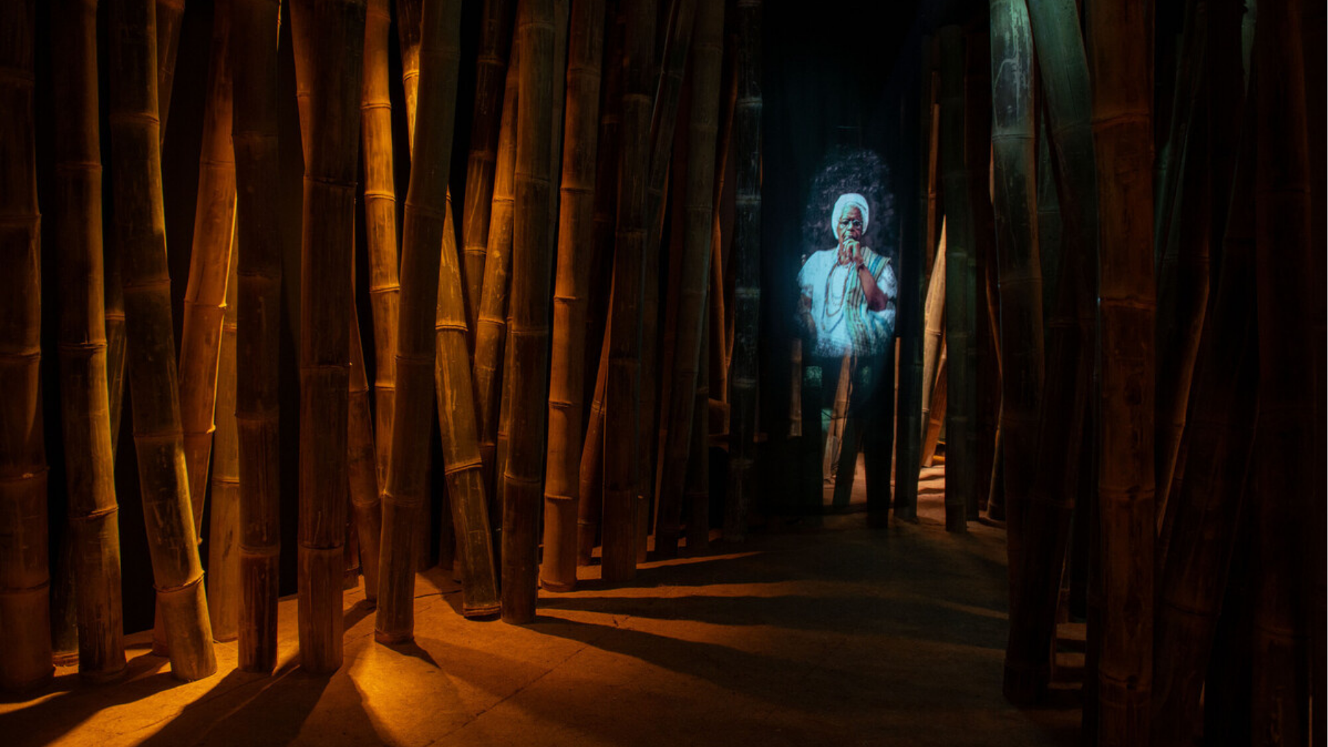 Casa das Histórias de Salvador inaugura “Floresta de Infinitos”, nova exposição que une arte, natureza e ancestralidade