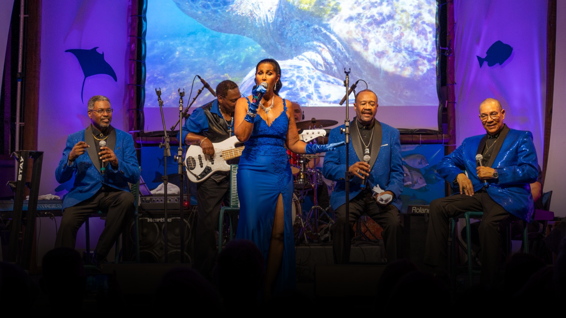 Turnê do The Platters Experience desembarca em Salvador em novembro