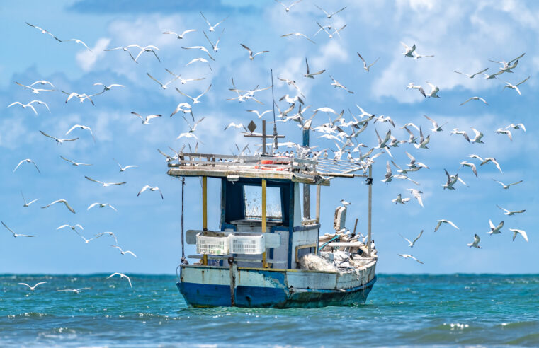 “terrAmar”: Praia do Forte é tema de livro de fotógrafo premiado internacionalmente