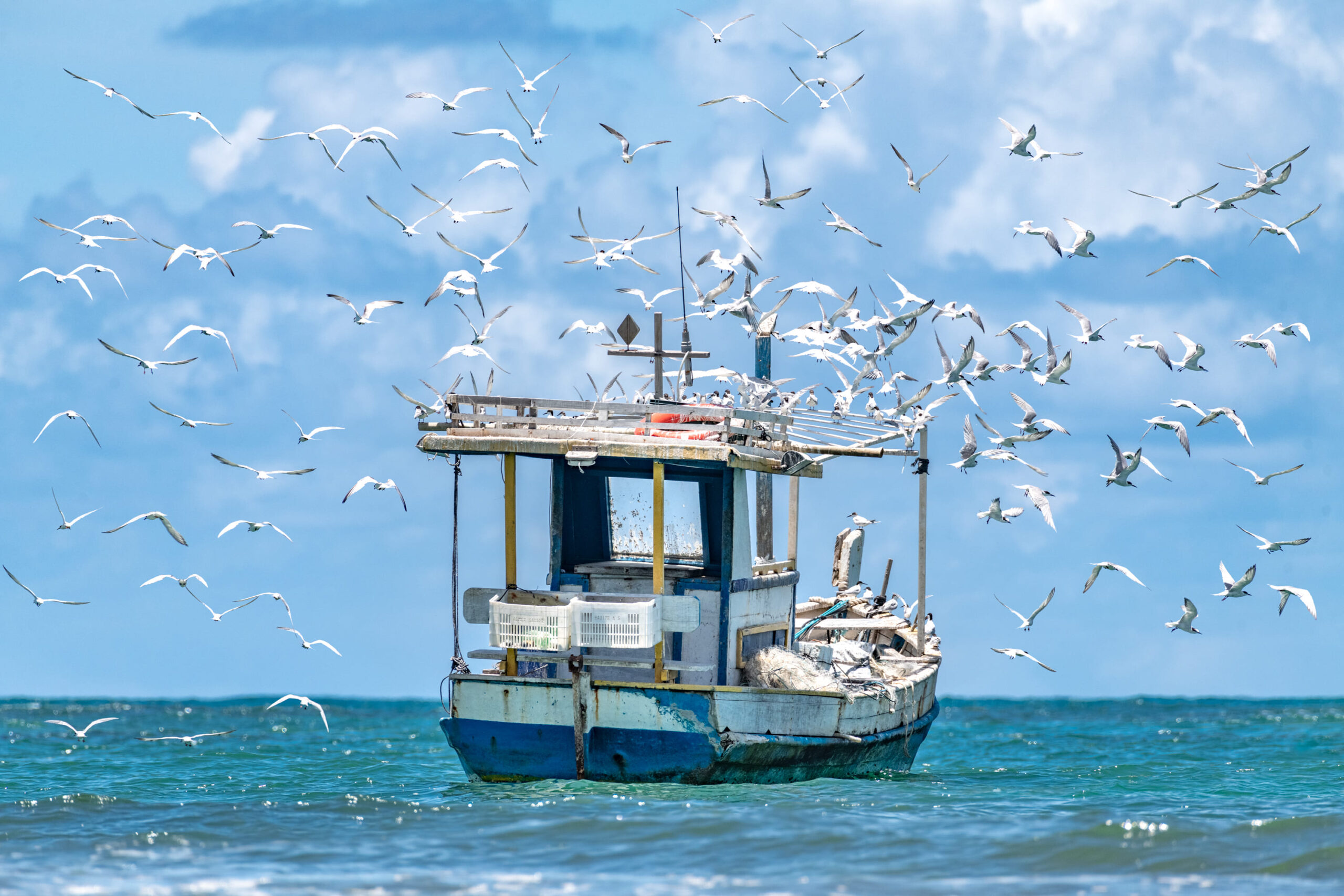 “terrAmar”: Praia do Forte é tema de livro de fotógrafo premiado internacionalmente
