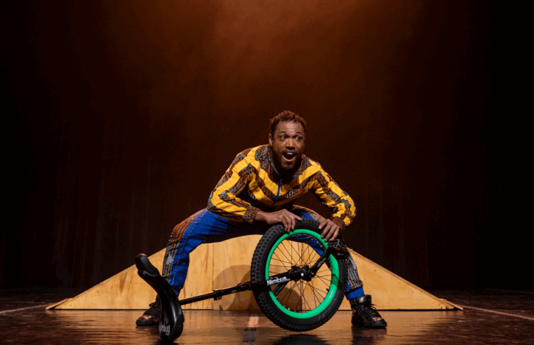 Circo Picolino realiza o Viva o Circo ano XL | Festival Internacional, de 1º a 14 de dezembro