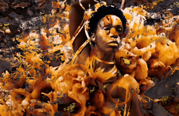 Goethe-Institut Salvador-Bahia recebe mostra “LAVA || The Shit and the Sunrise – Perspectivas” com filme e lançamento de livro