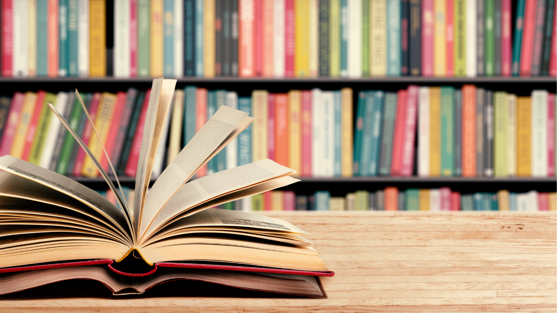 Evento “Livro em Giro” leva literatura, debate e brasilidade ao Rio Vermelho