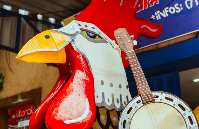 Banjo Novo estreia no Carnaval de Salvador em desfile do Bloco Alvorada