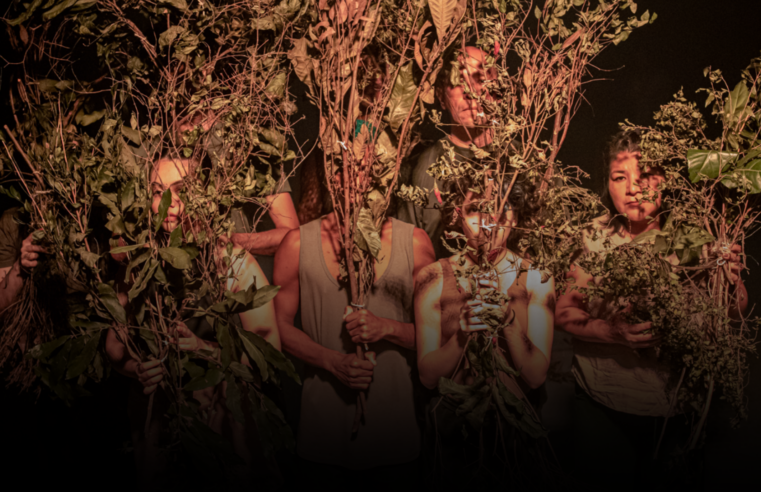 Projeto [RE]FLORESTA leva instalação performática de dança para o Teatro Gregório de Mattos de 14 a 22 de março