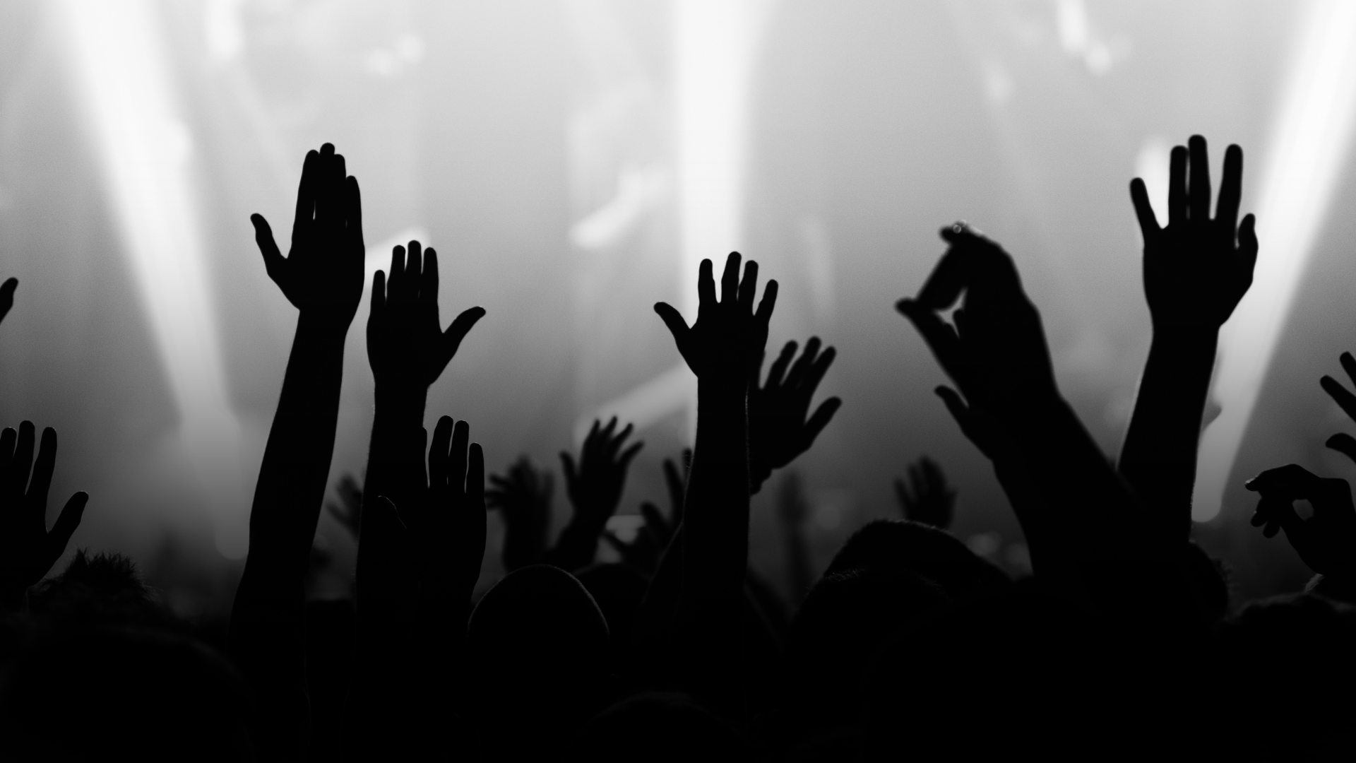 Novo espaço Lion Sounds aposta em música, diversidade e experiências no Rio Vermelho